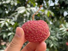 -细叶海鲜店(龙凤店)