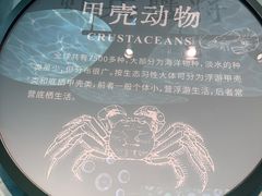 -中国湿地博物馆