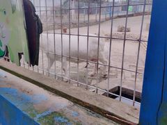 -武汉紫薇都市田园