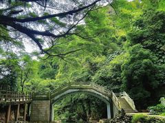 -广州市石门国家森林公园