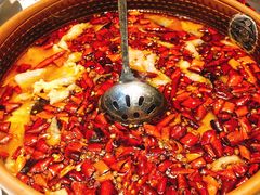 -红辣椒·川菜·火锅(张杨路店)