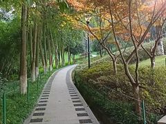 -龙头寺公园