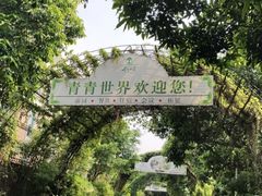 -青青世界