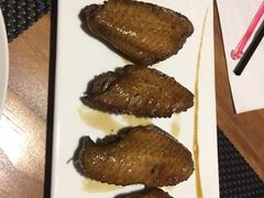 -百好乐宠物友好餐厅(朝外大街店)