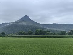 -帽儿山风景区