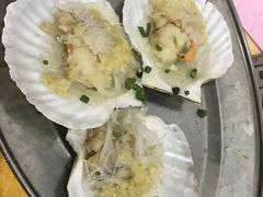 -蚝专家(北滘店)