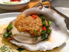 湛江大生蚝-淘米捞·米汤脆鲩鱼火锅(福田皇岗店)