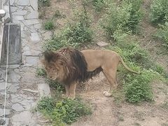 -石家庄市动物园