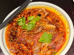 -陈麻婆豆腐总店