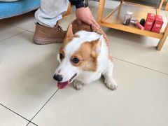 -美迦爱-牙专科·兔科·骨科诊疗中心(北苑店)