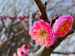 -上海方塔园