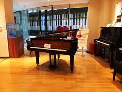 -柏斯音乐艺术中心·钢琴·吉他(上音店)