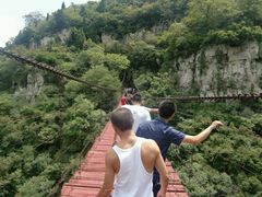 -鲁山国家森林公园