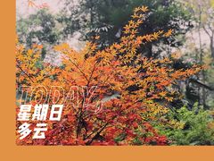 -岳麓山风景名胜区