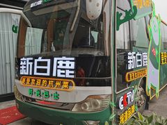 -新白鹿餐厅(松江开元地中海店)