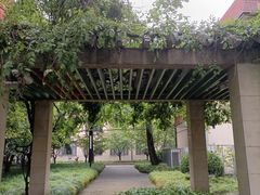 -上海财经大学(国定路校区)