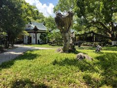 -江心屿景区