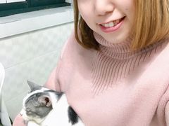 -喵的天空名猫咖啡馆·撸猫·猫舍·用品