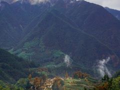 -杨家堂村