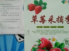 -红石沟生态休闲农场