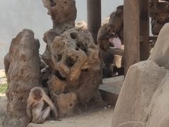 -赭山公园