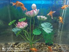 -常州海昌海洋探索馆