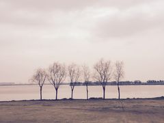 -漕湖湿地公园