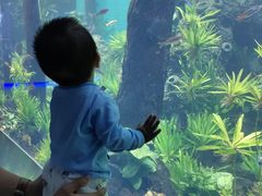 -石家庄海洋公园