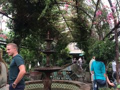-The Grounds of Alexandria