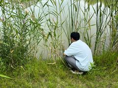 -苏州太湖国家湿地公园