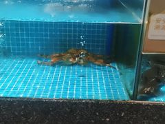 水产区-狮伙海鲜捞(千灯湖店)