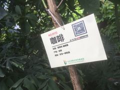 -呀路古热带植物园