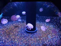 -成都浩海立方海洋公园