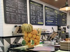 -油梨树 AVOCADO TREE(亮马桥店)