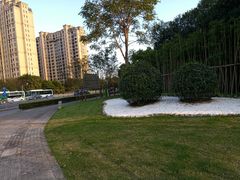 -中国浦东干部学院