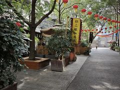 -泡桐树孙二娘私房菜