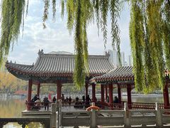 -西宁市人民公园(城西区)