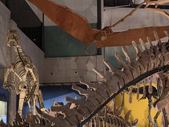 -湖南省地质博物馆