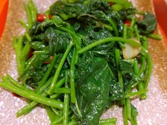 -滇香肴·云南菜蒸汽石锅鱼(云南北路店)