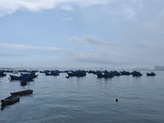 -海源公园