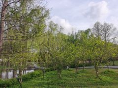 -自然谷恐龙园