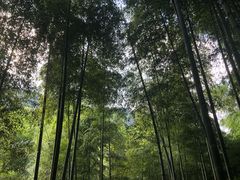 -山沟沟景区