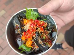 -董顺桃老长沙臭豆腐(步行街店)