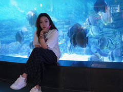 -烟台海昌鲸鲨海洋公园