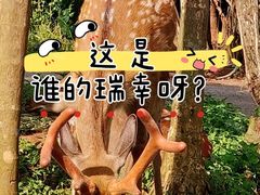 -海南热带野生动植物园