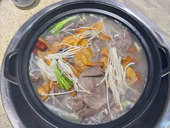 -九寨特色牦牛肉汤锅 羊肉汤锅