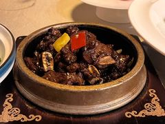 -云境生态园(高新旗舰店)