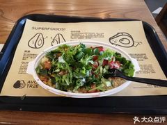 -油梨树 AVOCADO TREE(亮马桥店)