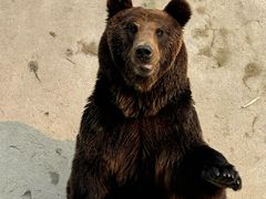 -哈尔滨北方森林动物园