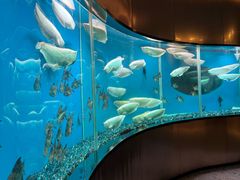 -碧涛阁·泡泡海洋·汤泉洗浴(王府花园店)
